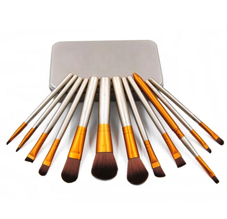 Sunaina Makeup Silver Brush set of 12 With Metal Box